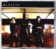 Bee Gees - This Is Where I Came In