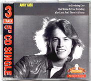 Andy Gibb - An Everlasting Love