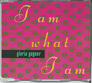 Gloria Gaynor - I Am What I Am