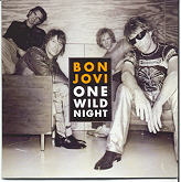 Bon Jovi - One Wild Night