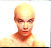 Bjork - Hunter CD 2