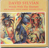 David Sylvian - Words With The Shaman