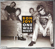 Bon Jovi - One Wild Night 