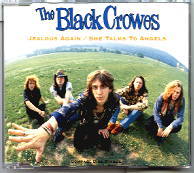 Black Crowes - Jealous Again