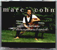 Marc Cohn - Silver Thunderbird