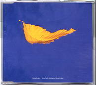 Blue Monday - True Faith 