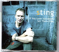 Sting - If You Love Somebody Set Them Free