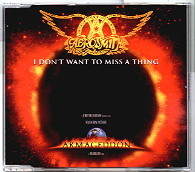 Aerosmith - I Don't Want To Miss A Thing