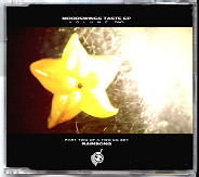 Moodswings - Rainsong CD 2