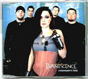 Evanescence - Everybody's Fool