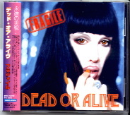 Dead Or Alive - Fragile