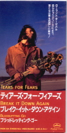 Tears For Fears - Break It Down Again