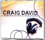 Craig David - You Don't Miss Your Water