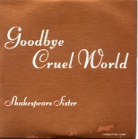 Shakespear's Sister - Goodbye Cruel World CD 2