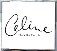 Celine Dion - That's The Way It Is