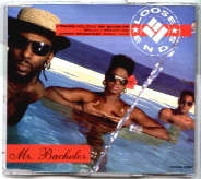 Loose Ends - Mr Bachelor