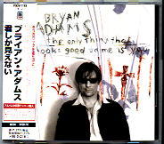 Bryan Adams - The Only Thing That Looks Good On Me Is You