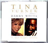Tina Turner & Barry White - In Your Wildest Dreams