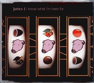 James - I Know What I'm Here For 