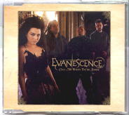 Evanescence - Call Me When You're Sober