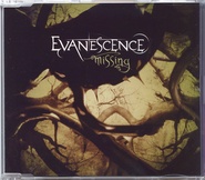 Evanescence - Missing