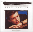 Rick Astley - Never Gonna Give You Up