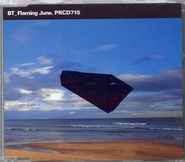 BT - Flaming June