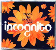 Incognito - That's The Way Of The World