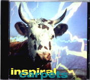 Inspiral Carpets - Commercial Rain