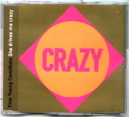Fine Young Cannibals - She Drives Me Crazy - Remix