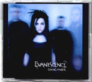 Evanescence - Going Under