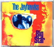 Jayhawks - Big Star