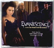 Evanescence - Call Me When You're Sober