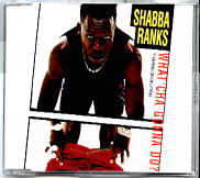 Shabba Ranks & Queen Latifah - What'cha Gonna Do