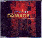 David Sylvian & Robert Fripp - Damage Sampler