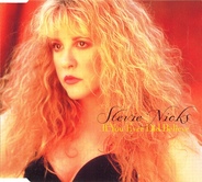 Stevie Nicks - If You Ever Did Believe