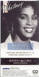 Whitney Houston - Love Will Save The Day